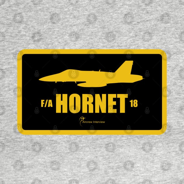 F/A-18 Hornet by Aircrew Interview